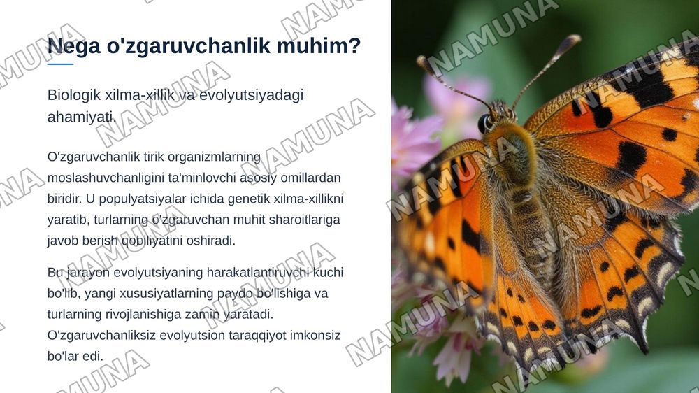 O'zgaruvchanlik. Xromasoma mutatsiyalari — zamonaviy taqdimot, 3-slayd