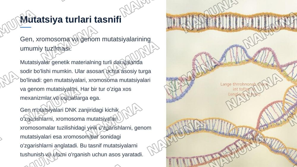 O'zgaruvchanlik. Xromasoma mutatsiyalari — zamonaviy taqdimot, 5-slayd