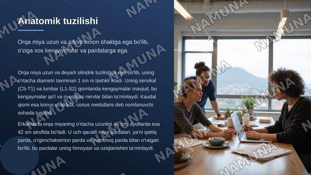 Markaziy nerv tizimi orqa miya — zamonaviy taqdimot, 4-slayd