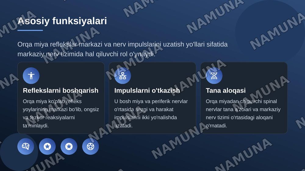 Markaziy nerv tizimi orqa miya — zamonaviy taqdimot, 6-slayd