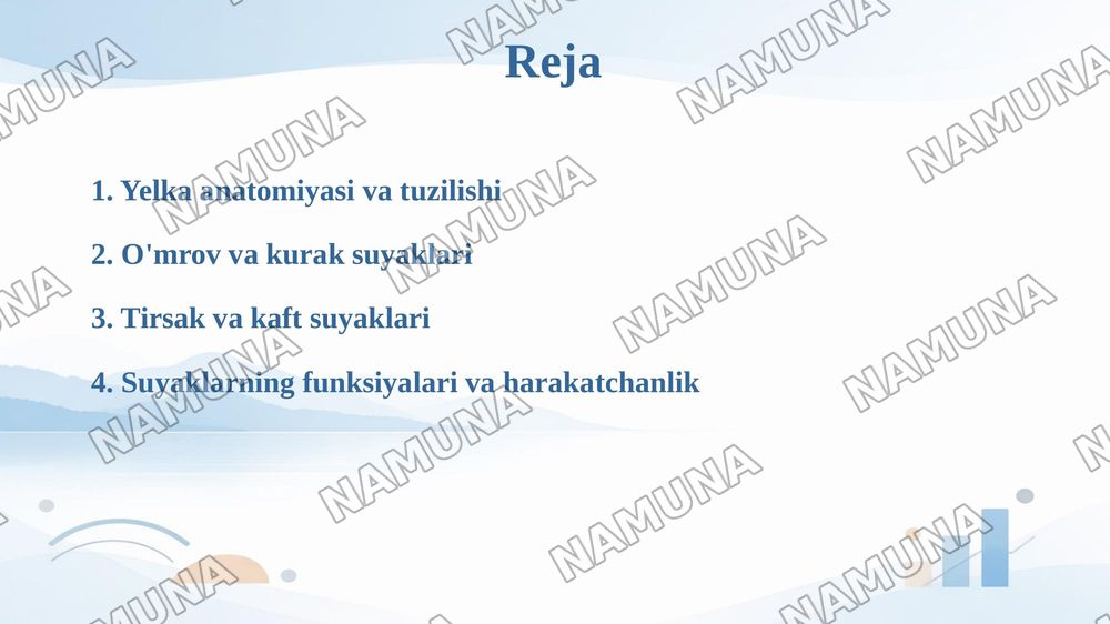 Yelka kamari va erkin suyaklar oʻmrov kurak yelka tirsak kaft — taqdimot, 2-slayd
