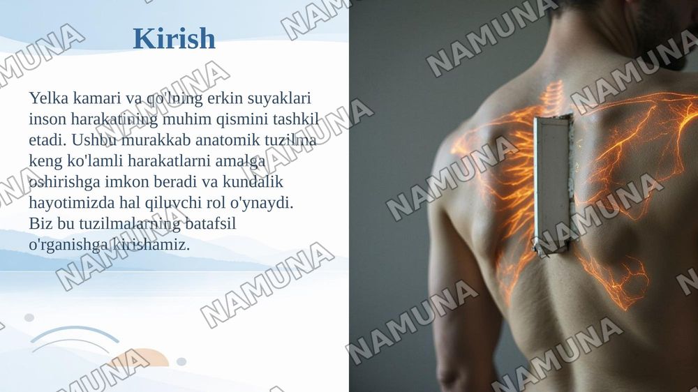 Yelka kamari va erkin suyaklar oʻmrov kurak yelka tirsak kaft — taqdimot, 3-slayd