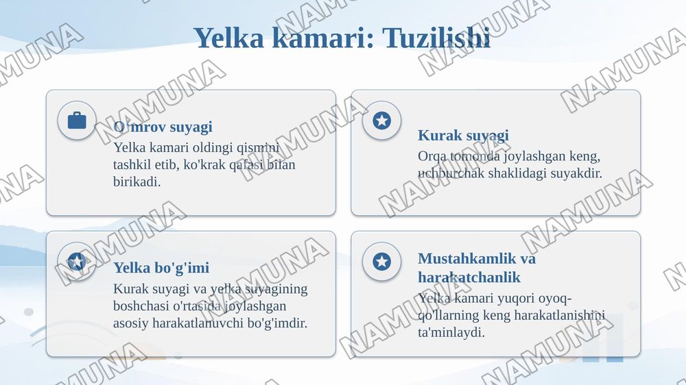 Yelka kamari va erkin suyaklar oʻmrov kurak yelka tirsak kaft — taqdimot, 4-slayd