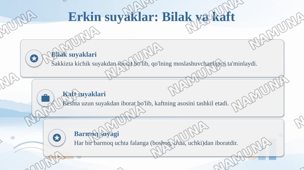 Yelka kamari va erkin suyaklar oʻmrov kurak yelka tirsak kaft — taqdimot, 6-slayd
