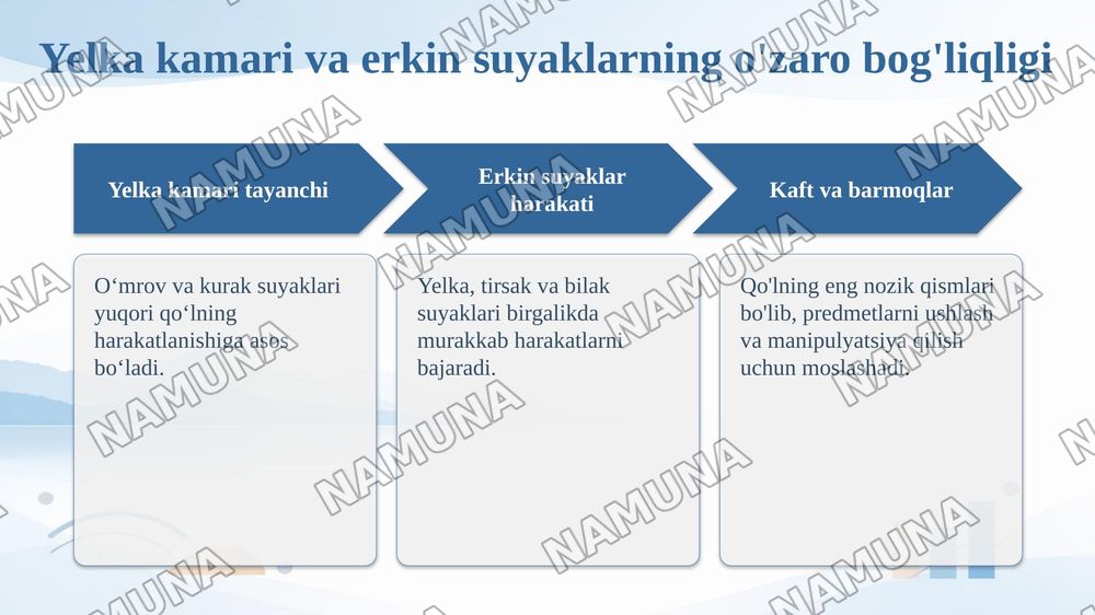 Yelka kamari va erkin suyaklar oʻmrov kurak yelka tirsak kaft — taqdimot, 7-slayd