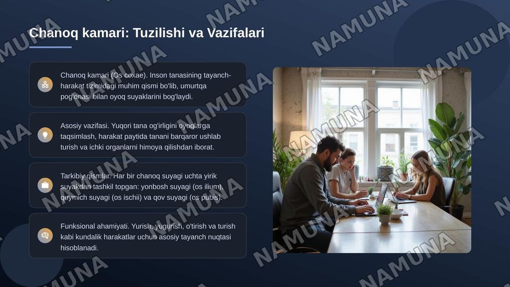 Chanoq kamari va oyoqning erkin suyaklari — zamonaviy taqdimot, 3-slayd