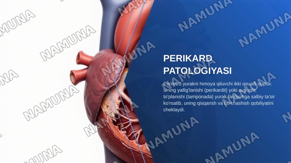 Perikard patologiyasida yurak funksiyasining buzilishlari — zamonaviy taqdimot, 3-slayd