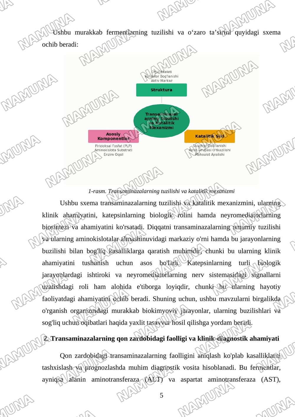 Transaminazalarni klinik ahamiyati.Katepsinlar ularni biologik ahamiyati.Neyromediatorlar biosintezi va ahamiyati — mustaqil ish, 5-varaq