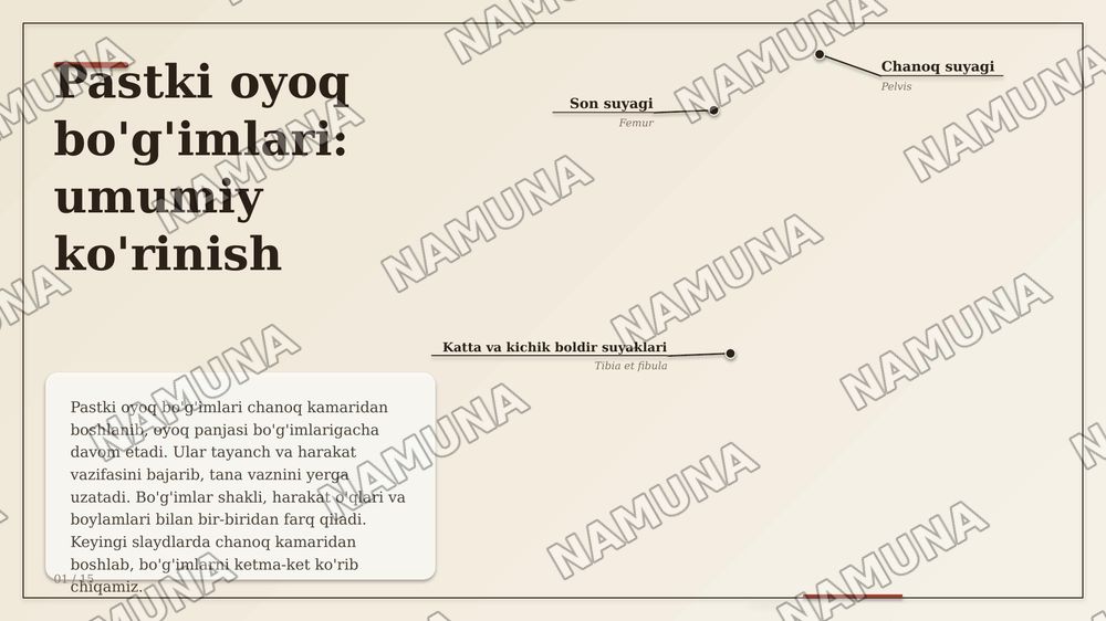 Chanoq kamari suyaklarining birlashuvi. Chanoq-son boʻgʻimi. Tizza boʻg'imi.
Boldir suyaklarining oʻzaro birlashuvi va oyoq panjasi boʻgʻimlari. — zamonaviy taqdimot, 1-slayd