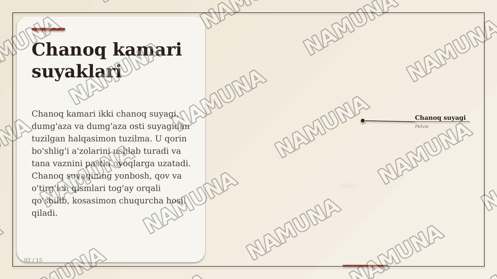 Chanoq kamari suyaklarining birlashuvi. Chanoq-son boʻgʻimi. Tizza boʻg'imi.
Boldir suyaklarining oʻzaro birlashuvi va oyoq panjasi boʻgʻimlari. — zamonaviy taqdimot, 3-slayd