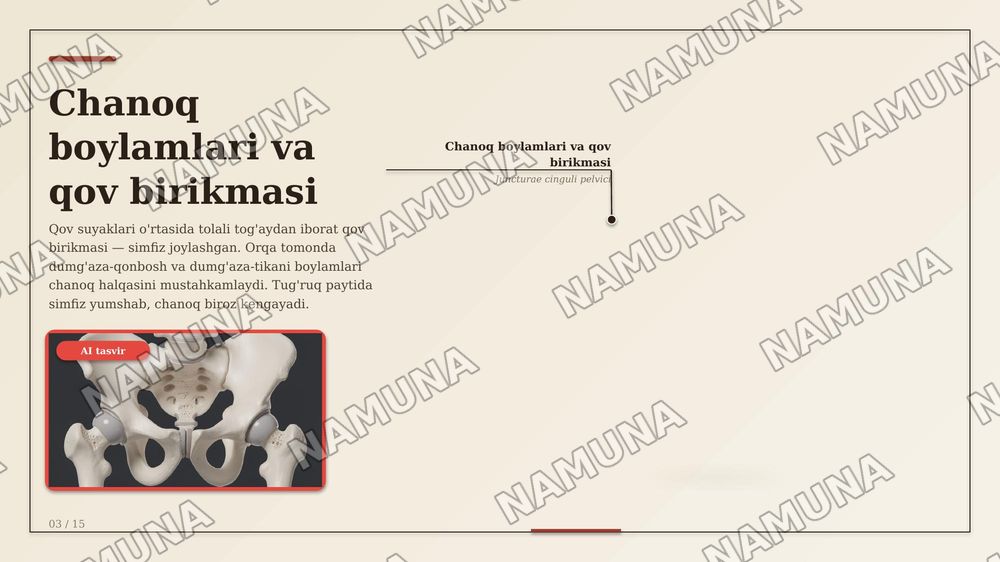 Chanoq kamari suyaklarining birlashuvi. Chanoq-son boʻgʻimi. Tizza boʻg'imi.
Boldir suyaklarining oʻzaro birlashuvi va oyoq panjasi boʻgʻimlari. — zamonaviy taqdimot, 5-slayd