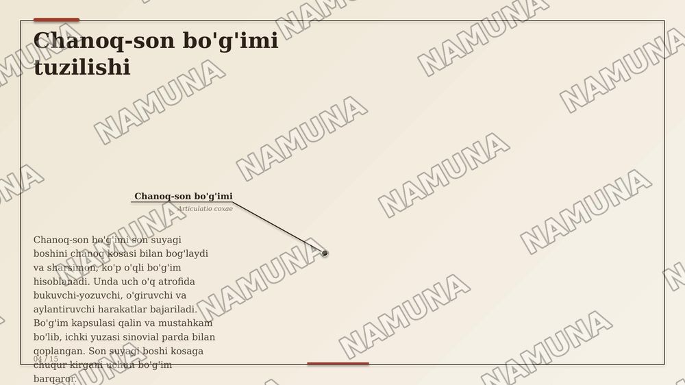 Chanoq kamari suyaklarining birlashuvi. Chanoq-son boʻgʻimi. Tizza boʻg'imi.
Boldir suyaklarining oʻzaro birlashuvi va oyoq panjasi boʻgʻimlari. — zamonaviy taqdimot, 6-slayd