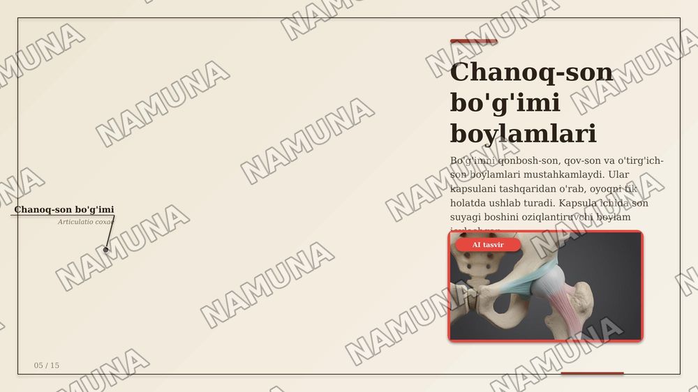 Chanoq kamari suyaklarining birlashuvi. Chanoq-son boʻgʻimi. Tizza boʻg'imi.
Boldir suyaklarining oʻzaro birlashuvi va oyoq panjasi boʻgʻimlari. — zamonaviy taqdimot, 7-slayd