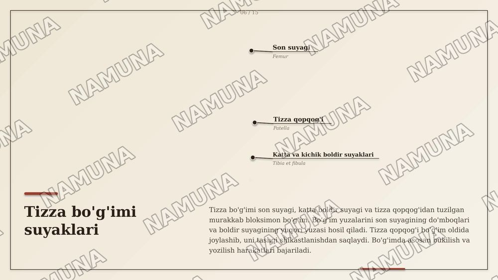 Chanoq kamari suyaklarining birlashuvi. Chanoq-son boʻgʻimi. Tizza boʻg'imi.
Boldir suyaklarining oʻzaro birlashuvi va oyoq panjasi boʻgʻimlari. — zamonaviy taqdimot, 8-slayd