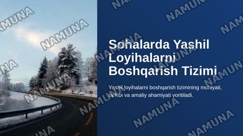 SOHALARDA Y ASHIL
LOYIHALARNI BOSHQARISH
TIZIMI — zamonaviy taqdimot