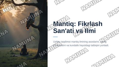 Mantiq — zamonaviy taqdimot