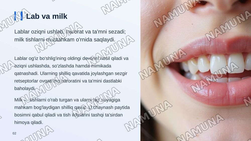 Og’iz bo’shlig’i
Lab, milk, tanglay, til va so’lak — zamonaviy taqdimot, 3-slayd