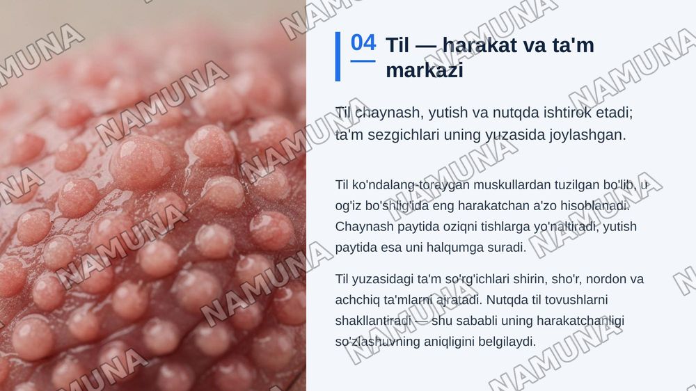 Og’iz bo’shlig’i
Lab, milk, tanglay, til va so’lak — zamonaviy taqdimot, 5-slayd