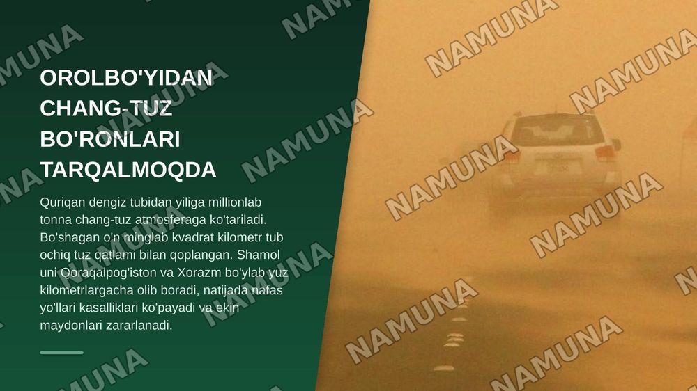O’zbekiston sharoitidagi ekologik ahvol muomolar va yechimlari — zamonaviy taqdimot, 6-slayd