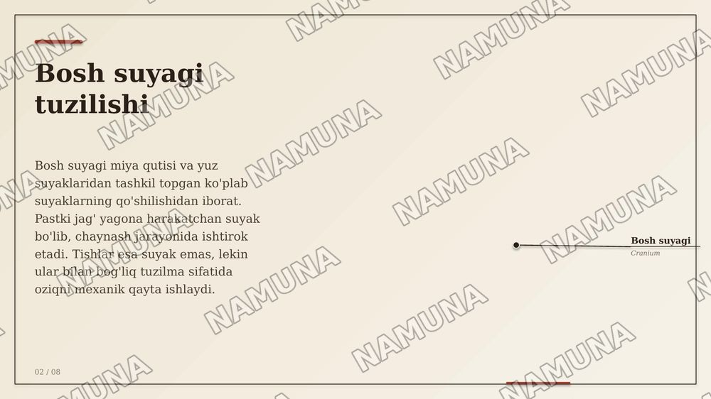 Suyaklar — zamonaviy taqdimot, 2-slayd