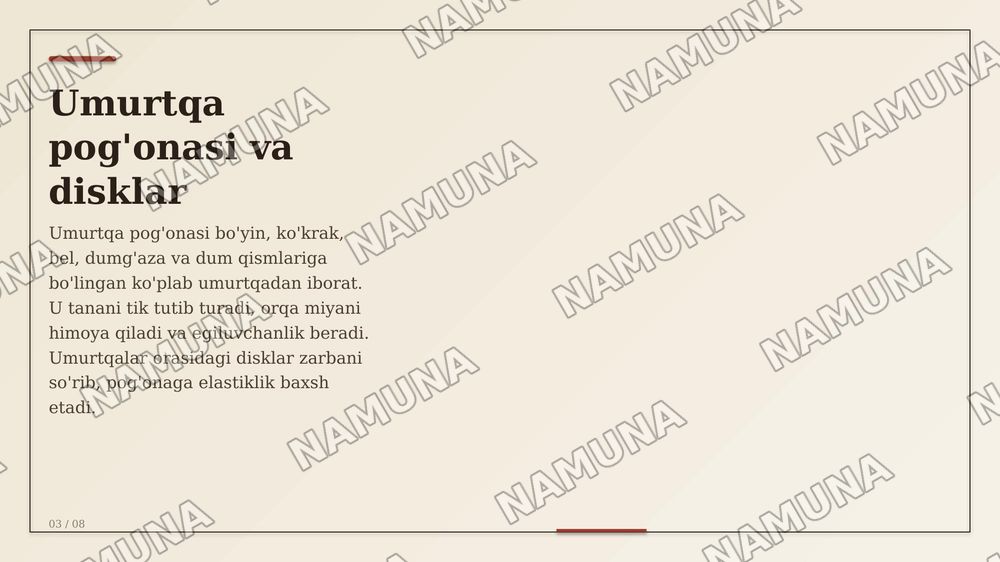 Suyaklar — zamonaviy taqdimot, 3-slayd