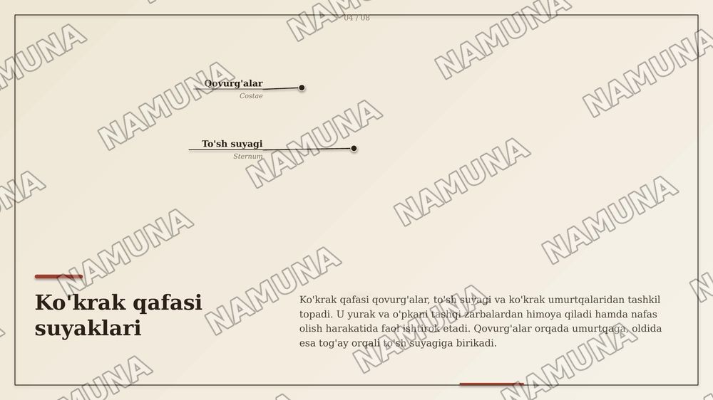 Suyaklar — zamonaviy taqdimot, 6-slayd