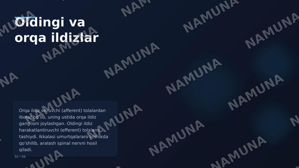 Orqa miya nervlarining hosil bo'lishi. Orqa tarmoqlari. Oldingi tarmoqlari. Qovurgʻalararo nervlar. Boʻyin chigali — zamonaviy taqdimot, 2-slayd