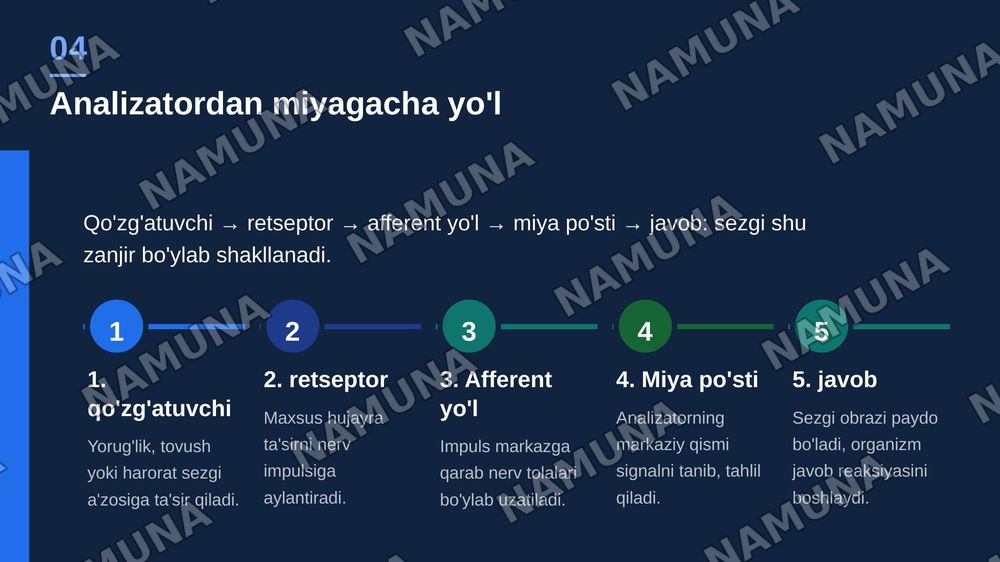 Sezgi — zamonaviy taqdimot, 5-slayd
