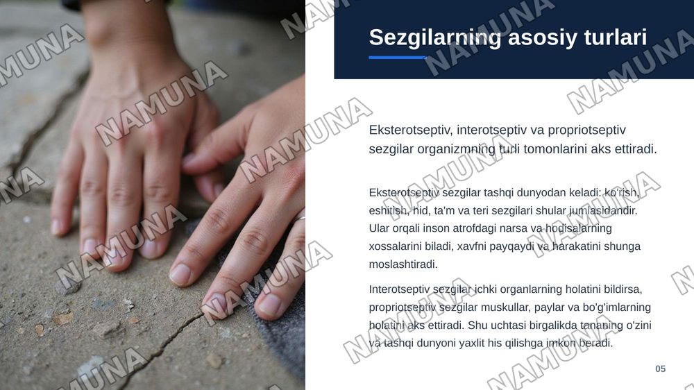 Sezgi — zamonaviy taqdimot, 6-slayd