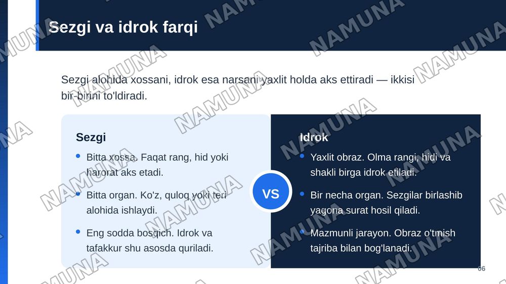 Sezgi — zamonaviy taqdimot, 7-slayd
