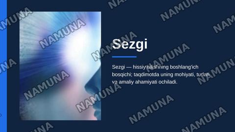 Sezgi — zamonaviy taqdimot