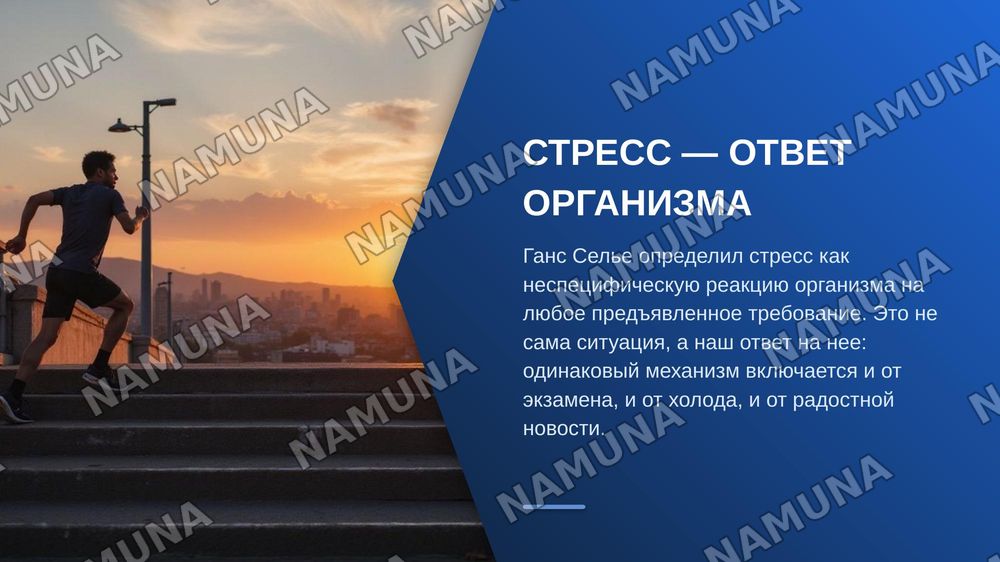 Стресс — zamonaviy taqdimot, 5-slayd