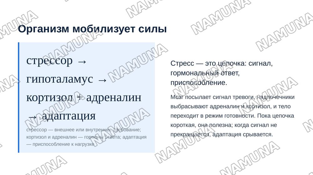 Стресс — zamonaviy taqdimot, 7-slayd