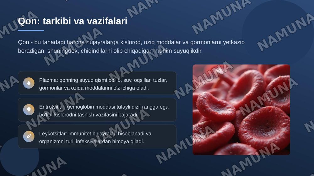 Qon aylanish sistemasi — zamonaviy taqdimot, 6-slayd