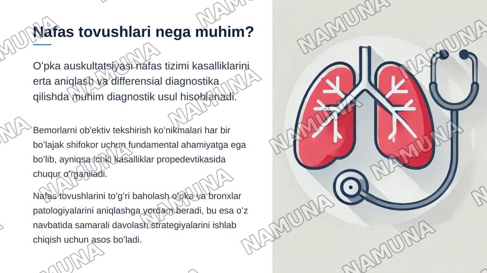 Oʻpka auskultatsiyasi: asosiy (vezikulyar va bronxial nafas) nafas — zamonaviy taqdimot, 3-slayd