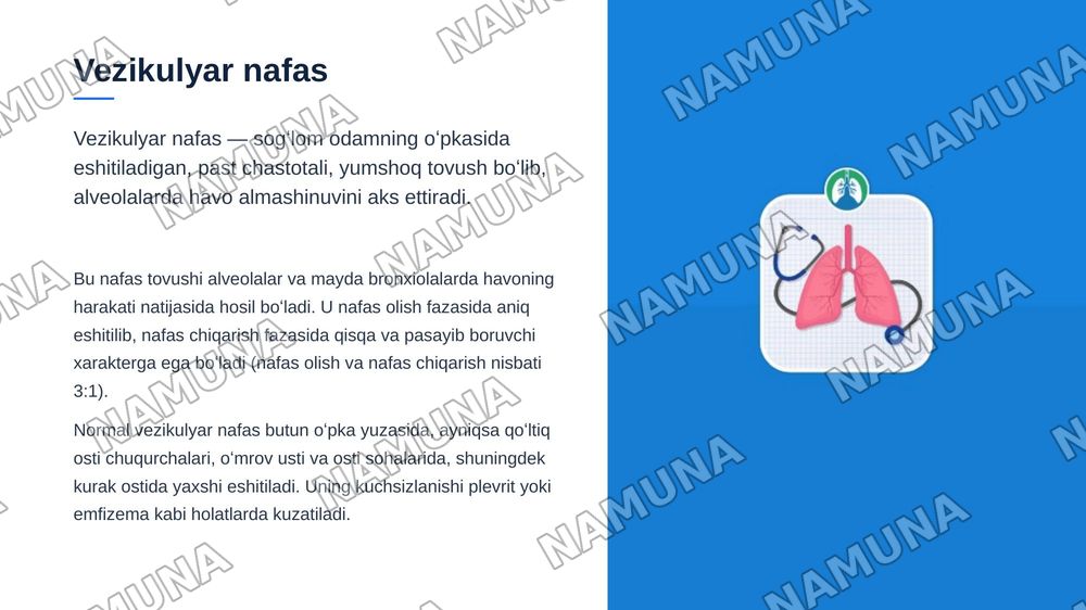 Oʻpka auskultatsiyasi: asosiy (vezikulyar va bronxial nafas) nafas — zamonaviy taqdimot, 7-slayd