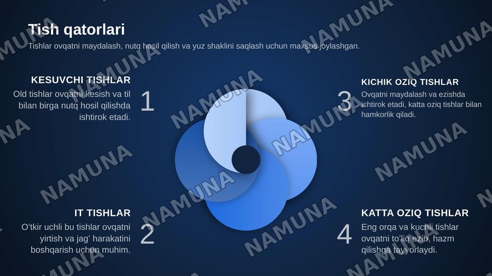 Chakka-pastki jagʻ bo‘gʻimining tuzilishi va xususiyatlari. Pastki jagʻ  biomexanikasi. Yuqori va pastki jagʻ tish qatorlarining o‘zaro munosabati. — zamonaviy taqdimot, 7-slayd