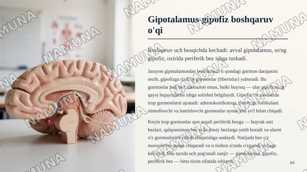 Garmonlar endokrin tizimi. Endokrin tizimining fizialogiyasi. Endokrin tizim kasalliklari — zamonaviy taqdimot, 5-slayd