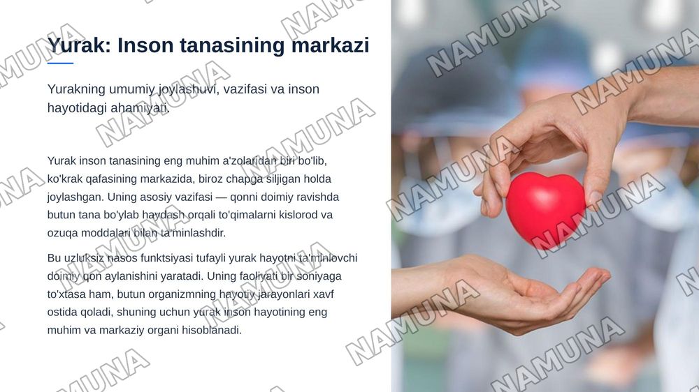 Yurak tuzilishi yurakning otkazuv sistemasi. Yurakning qon bilan taminlanishi. Qon aylanish doiralari Yurakning yoshga qarab oʻzgarishi — zamonaviy taqdimot, 3-slayd