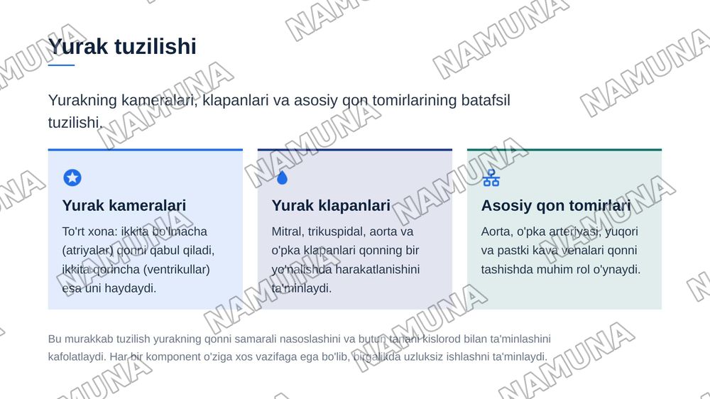 Yurak tuzilishi yurakning otkazuv sistemasi. Yurakning qon bilan taminlanishi. Qon aylanish doiralari Yurakning yoshga qarab oʻzgarishi — zamonaviy taqdimot, 4-slayd