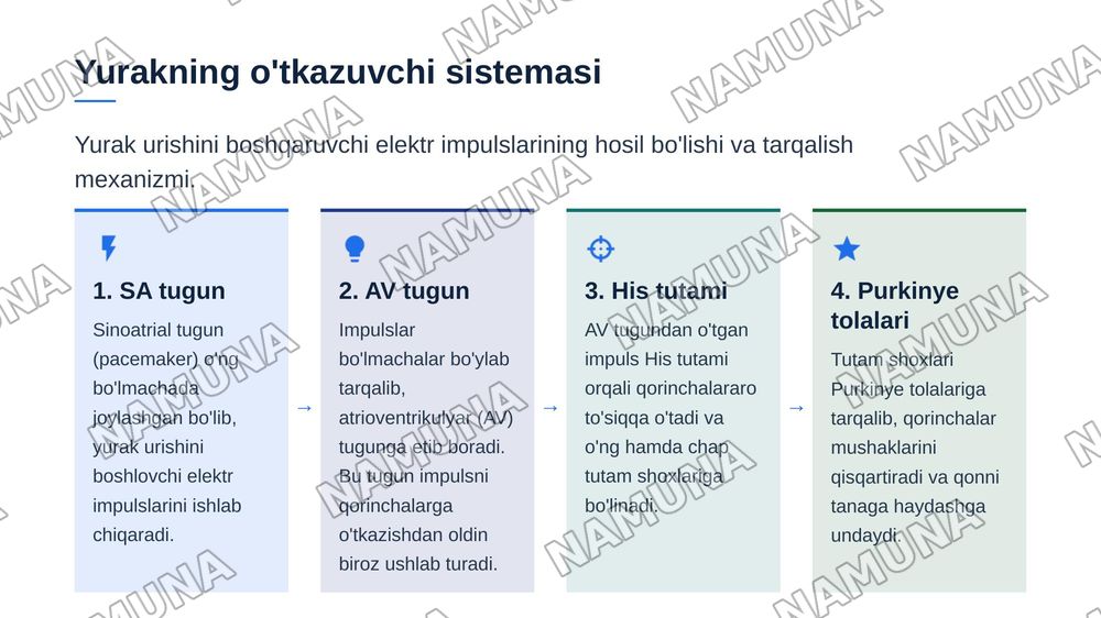 Yurak tuzilishi yurakning otkazuv sistemasi. Yurakning qon bilan taminlanishi. Qon aylanish doiralari Yurakning yoshga qarab oʻzgarishi — zamonaviy taqdimot, 5-slayd