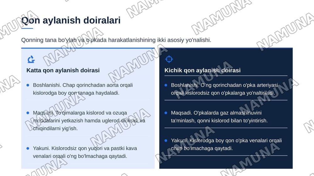 Yurak tuzilishi yurakning otkazuv sistemasi. Yurakning qon bilan taminlanishi. Qon aylanish doiralari Yurakning yoshga qarab oʻzgarishi — zamonaviy taqdimot, 7-slayd