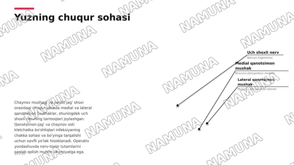 Boshning yuz qismi topografik anatomiyasi va operativ xirurgiyasi . Quloqoldi -chaynov ,lunj va yuzning chuqur sohalari , halqum atrofi va halqum orti bo’shliqlari .
Ko’z ,ko’zosti,burun,og’iz va engak sohalari.
Yuz jag’ sohasida bajariladigan og’riqsizlantirish usullari . Yuz sohasining yiringli ja — zamonaviy taqdimot, 4-slayd