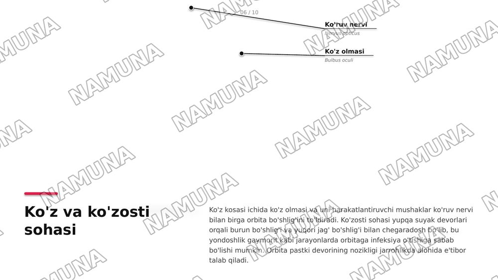Boshning yuz qismi topografik anatomiyasi va operativ xirurgiyasi . Quloqoldi -chaynov ,lunj va yuzning chuqur sohalari , halqum atrofi va halqum orti bo’shliqlari .
Ko’z ,ko’zosti,burun,og’iz va engak sohalari.
Yuz jag’ sohasida bajariladigan og’riqsizlantirish usullari . Yuz sohasining yiringli ja — zamonaviy taqdimot, 8-slayd