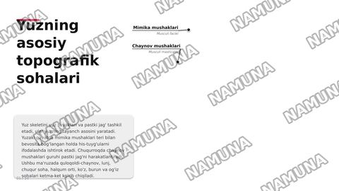 Boshning yuz qismi topografik anatomiyasi va operativ xirurgiyasi . Quloqoldi -chaynov ,lunj va yuzning chuqur sohalari , halqum atrofi va halqum orti bo’shliqlari .
Ko’z ,ko’zosti,burun,og’iz va engak sohalari.
Yuz jag’ sohasida bajariladigan og’riqsizlantirish usullari . Yuz sohasining yiringli ja — zamonaviy taqdimot