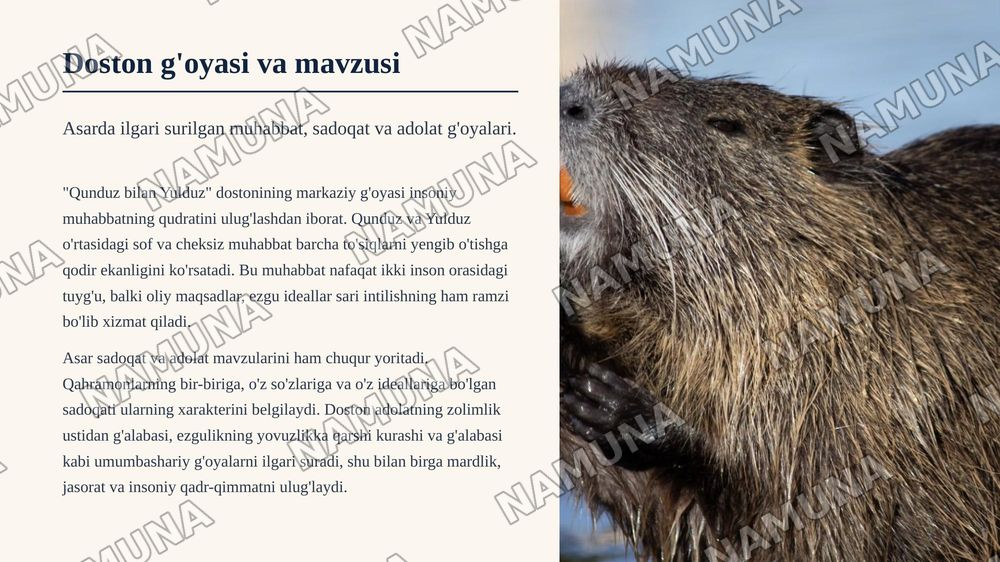 Qunduz bilan Yulduz dostoni — zamonaviy taqdimot, 7-slayd