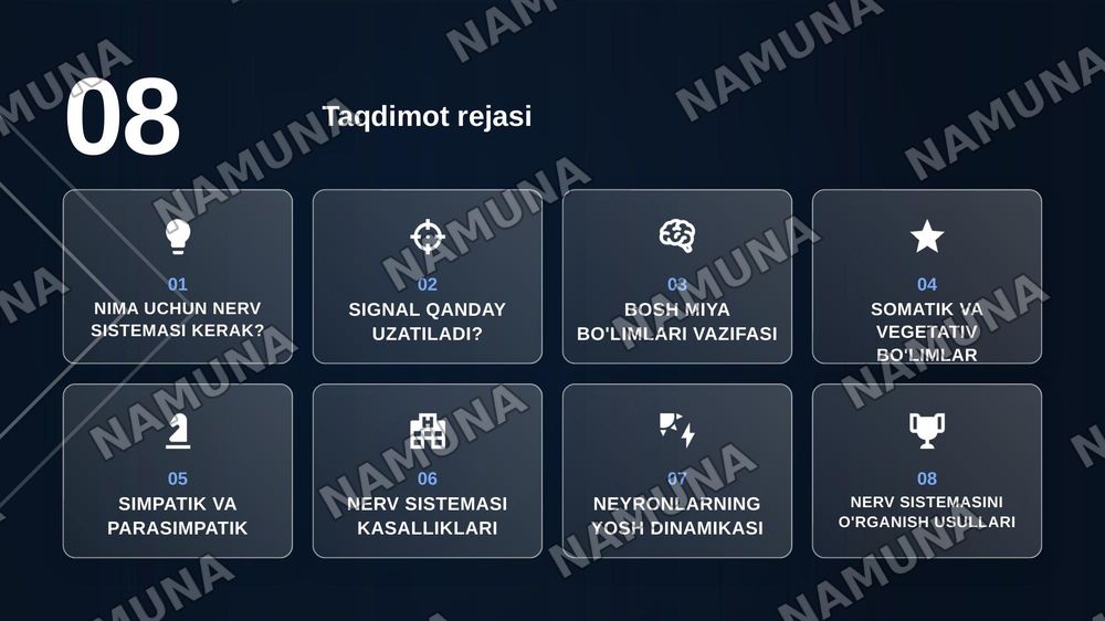 Nervous system — zamonaviy taqdimot, 2-slayd