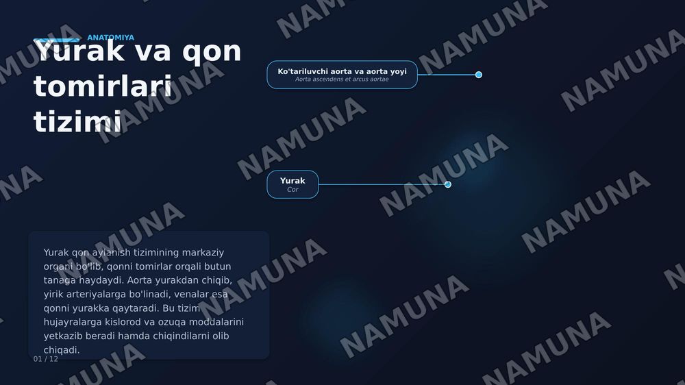 Yurak, qon tomirlari, kasalliklari va davolash usullari — zamonaviy taqdimot, 1-slayd