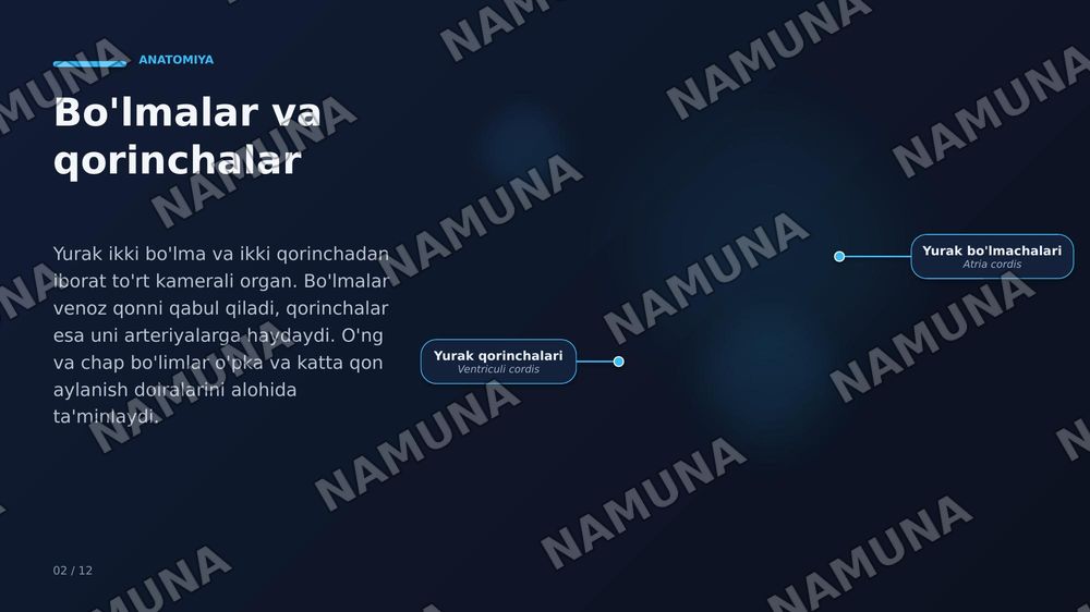 Yurak, qon tomirlari, kasalliklari va davolash usullari — zamonaviy taqdimot, 3-slayd