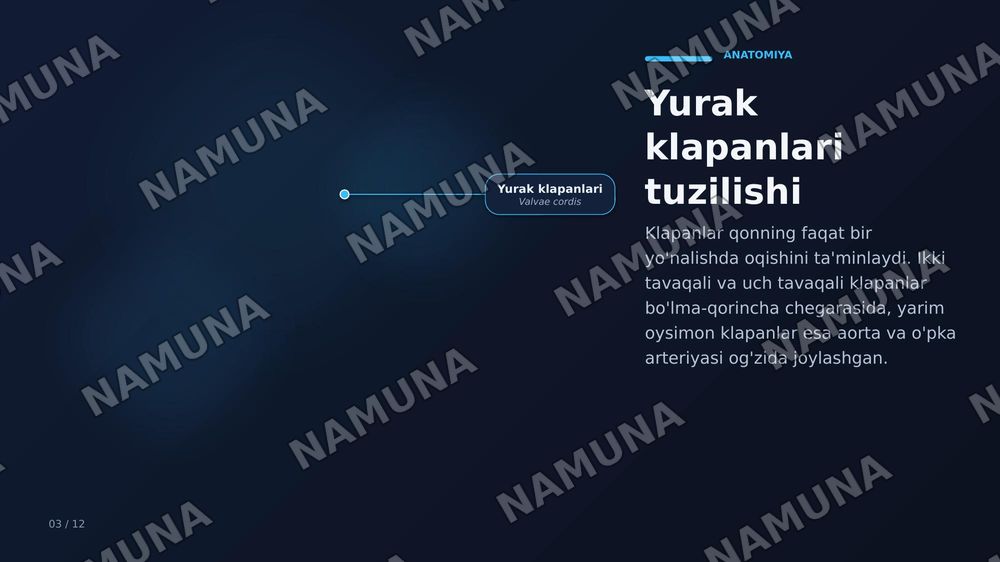 Yurak, qon tomirlari, kasalliklari va davolash usullari — zamonaviy taqdimot, 5-slayd